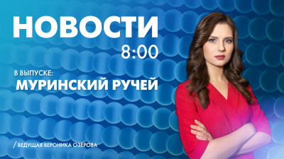 Новости Петербурга к 8:00