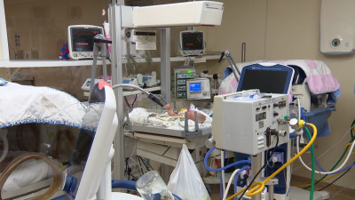 В Детской городской больнице №1 спасли более тысячи недоношенных детей с начала года