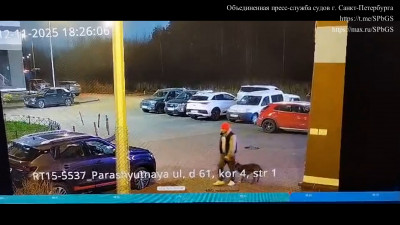 Я не помнил что творил: петербуржец дал команду бультерьеру «Взять» прохожего