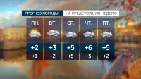 Синоптики обещают в Петербурге предзимье