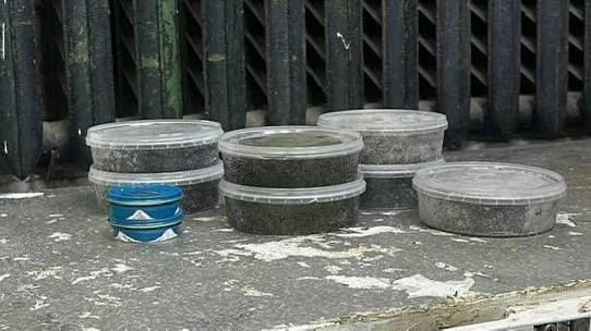 Петербуржцы хотели перепродать икру краснокнижной рыбы, а получили условный срок - tvspb.ru