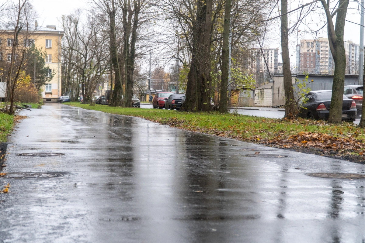 Александр Беглов: До наступления зимы досрочно завершена реконструкция тепломагистрали на Удельном проспекте - tvspb.ru