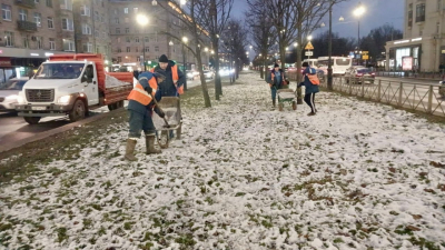 Безопасное удобрение для лип: как садовники ухаживают за деревьями на Московском проспекте