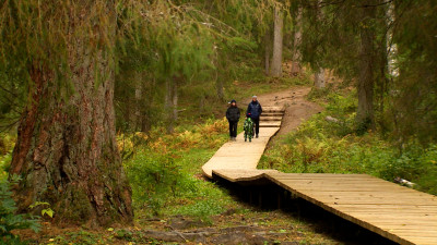 Алексей Корабельников: 17 млрд рублей предусмотрено в бюджете Петербурга на создание новых общественных пространств