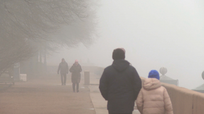 Петербуржцев предупредили об утреннем тумане 11 ноября