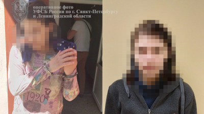 В Карелии суд назначил 20-летней преступнице 14 лет в исправительной колонии за госизмену