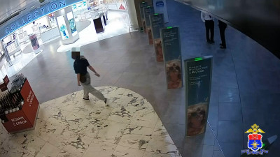 Транспортная полиция раскрыла кражу косметики в аэропорту Пулково