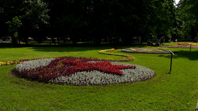 Обновленные дороги и новые растения: Петербург подвел итоги агротехнического сезона