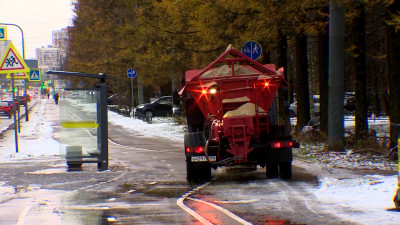 Петербуржцев предупредили о сильном ветре 17 ноября