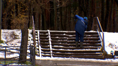 Более 3,5 тыс. дворников вышли 17 ноября во дворы Северной столицы