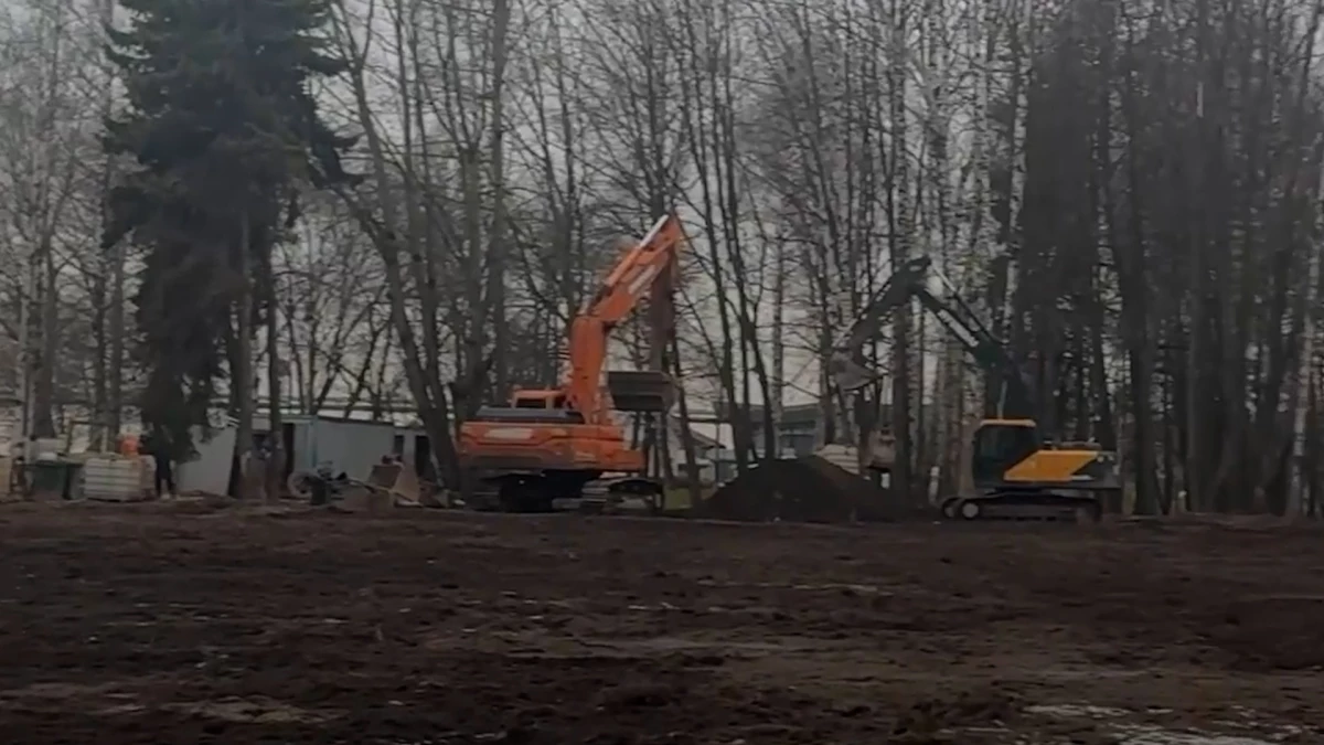 Приморский парк Победы освободили от незаконной постройки - tvspb.ru