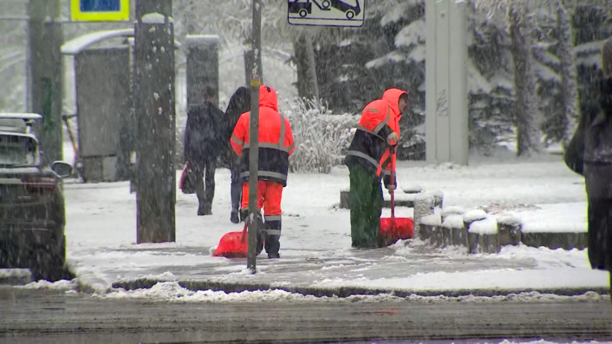 ГАТИ начала проверку отчетов по уборке снега в Петербурге - tvspb.ru