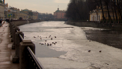 Петербуржцев предупредили о появлении льда на водоемах