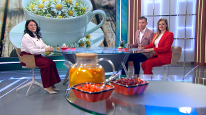 Природные лекарства: чаи и взвары на фруктах, травах и специях при первых признаках осенней хандры и недомогания