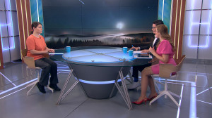 Метеорный поток Леониды