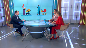 Декрет без ограничений? Какие нововведения в оформлении отпуска по уходу за ребёнком ожидаются в новом законопроекте