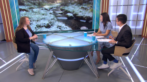 Блинчики, снежура, шуга и иней на ветвях — как попасть в сказку, не выезжая за пределы Ленобласти