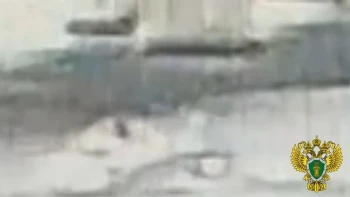 Владельца лодки, на которой две девушки устроили аварию в Большой Невке, отдали под суд