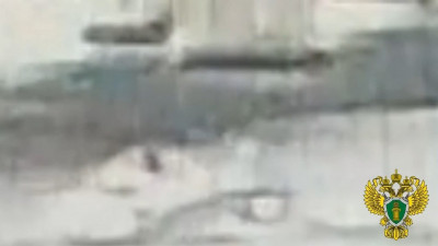 Владельца лодки, на которой две девушки устроили аварию в Большой Невке, отдали под суд