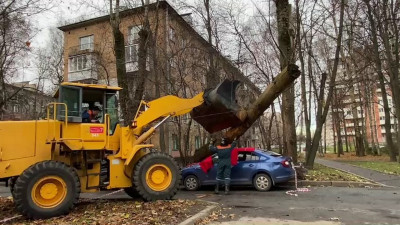 Упавшее на машину на улице Крюкова дерево убрали с помощью погрузчика