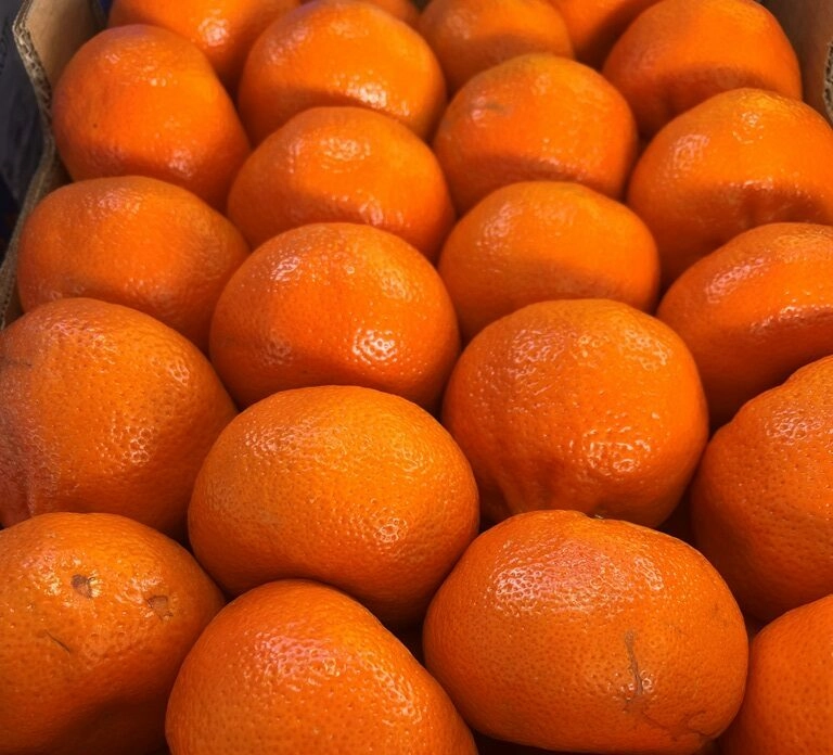 В морской порт Петербурга привезли марокканские клементины, зараженные плодовой мухой - tvspb.ru
