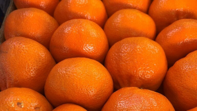 В морской порт Петербурга привезли марокканские клементины, зараженные плодовой мухой