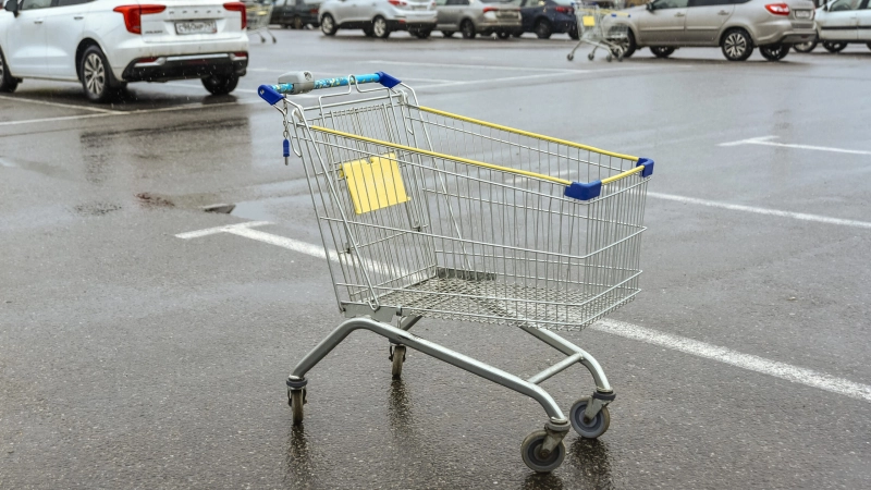 Сладкий перец подорожал в Петербурге за осень на 20,1% - tvspb.ru