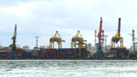 Грузооборот морских портов России сократился на 1,5% за 10 месяцев 2025 года