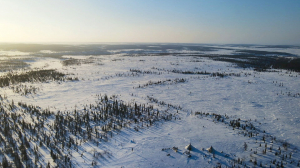 Кино и песни Ленинграда. «Увезу тебя я тундру»
