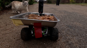 Prohor.TV  –  доставка только для котиков: как петербургский блогер создал проект помощи бездомным хвостатым и покорил весь мир