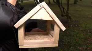 Синичкин день