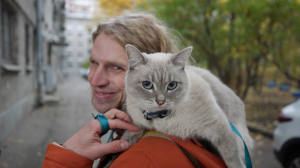 Киса доставляет: симпатичный дуэт привезёт вам заказ и порцию добра и милоты — бонусом