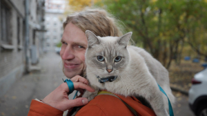 Киса доставляет: симпатичный дуэт привезёт вам заказ и порцию добра и милоты — бонусом