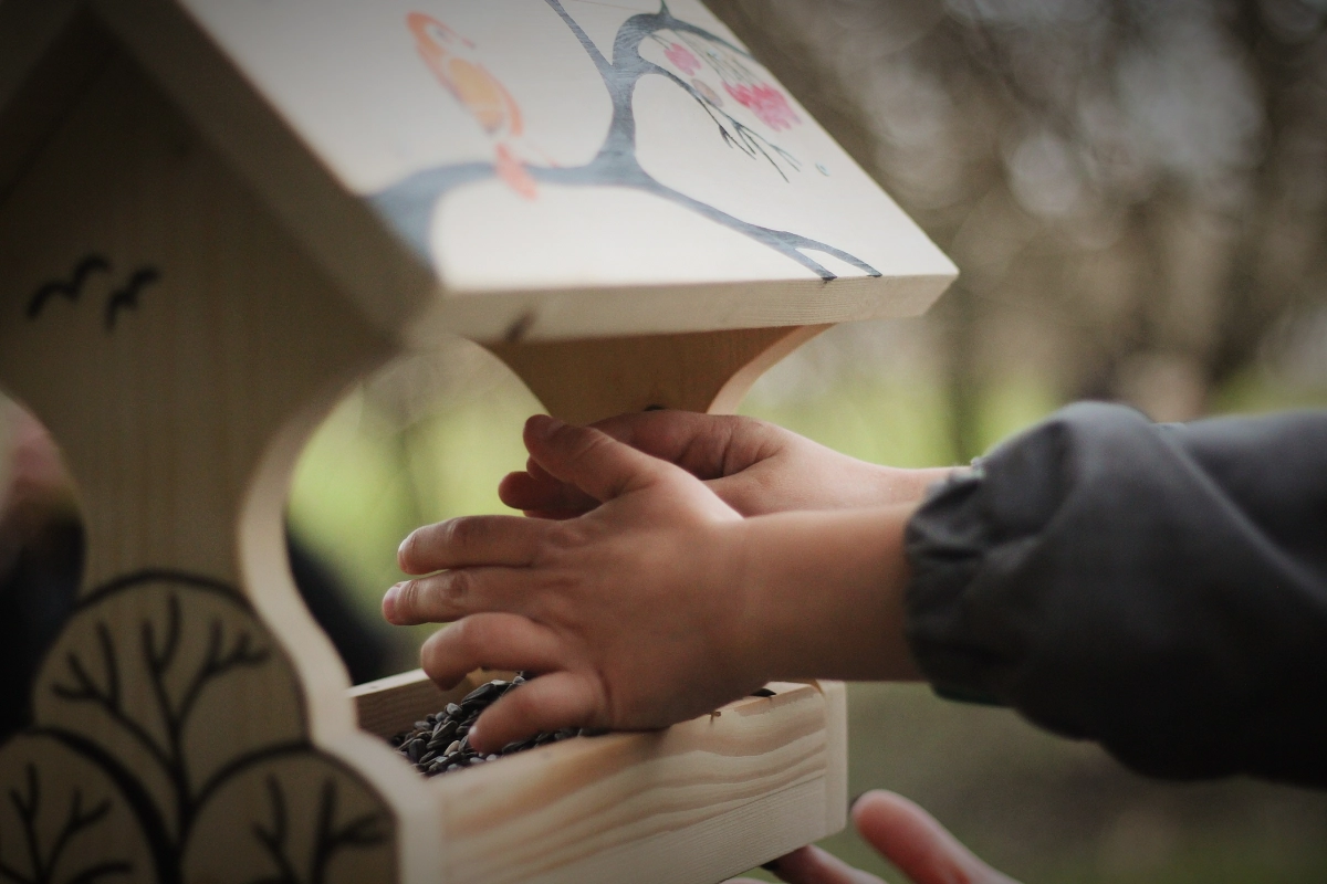 В Синичкин день в парках и скверах развесили более 500 кормушек - tvspb.ru