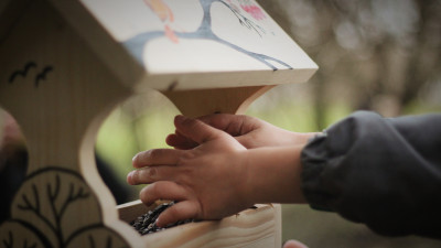 В Синичкин день в парках и скверах развесили более 500 кормушек