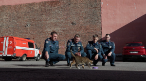 Игорь, кот Игорь — самый уравновешенный сотрудник Десятой пожарно-спасательной части Санкт-Петербурга