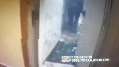 Росгвардия показала видео из квартиры, где нашли убитую петербурженку и её раненую дочь