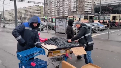 У метро «Пионерская» прошел рейд против незаконной торговли — изъято 37 кг голубики