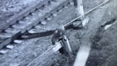 В Петербурге женщина по указке мошенников устроила поджог на железной дороге