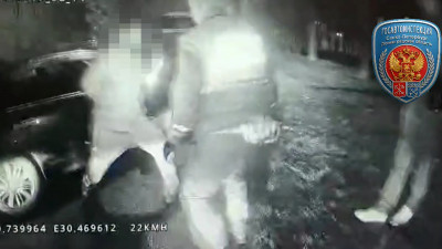 В Пушкине водитель с признаками опьянения ударил полицейского