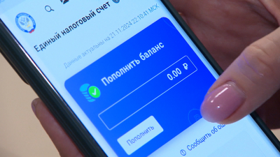 Как заплатить за несовершеннолетних: 1 декабря — последний день уплаты имущественных налогов