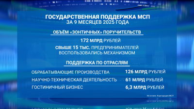 Малый и средний бизнес за девять месяцев 2025 года привлёк 686 млрд рублей через льготное кредитование и гарантии