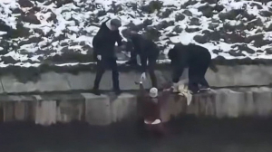 Неравнодушные петербуржцы спасли упавшую в Матисов канал маленькую девочку