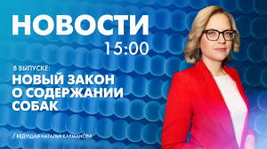 Новости Петербурга к 15:00