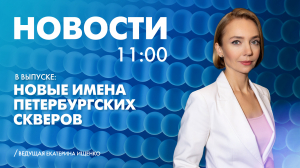 Новости Петербурга к 11:00