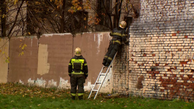 Прокуратура выясняет обстоятельства частичного обрушения заброшенного дома на улице Розенштейна