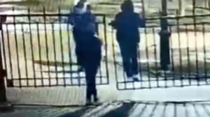 Оглашен приговор подросткам, напавшим на мужчину в саду Сан-Галли