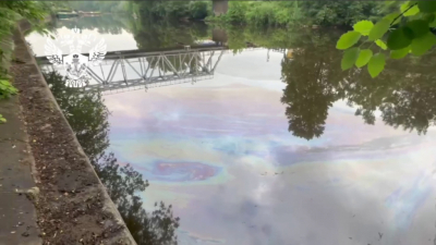 Загрязнение реки Охты не повлияло на чистоту питьевой воды в Петербурге