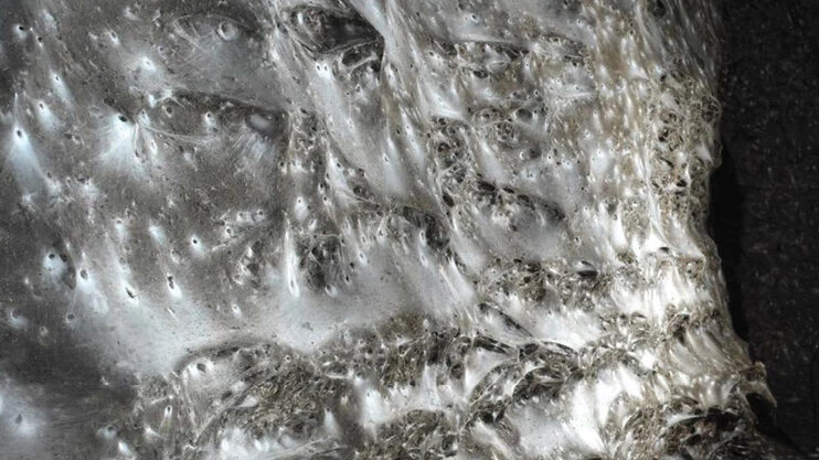 В пещере на границе Греции и Албании нашли паутину площадью более 100 «квадратов» - tvspb.ru