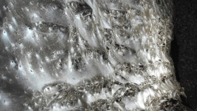 В пещере на границе Греции и Албании нашли паутину площадью более 100 «квадратов»